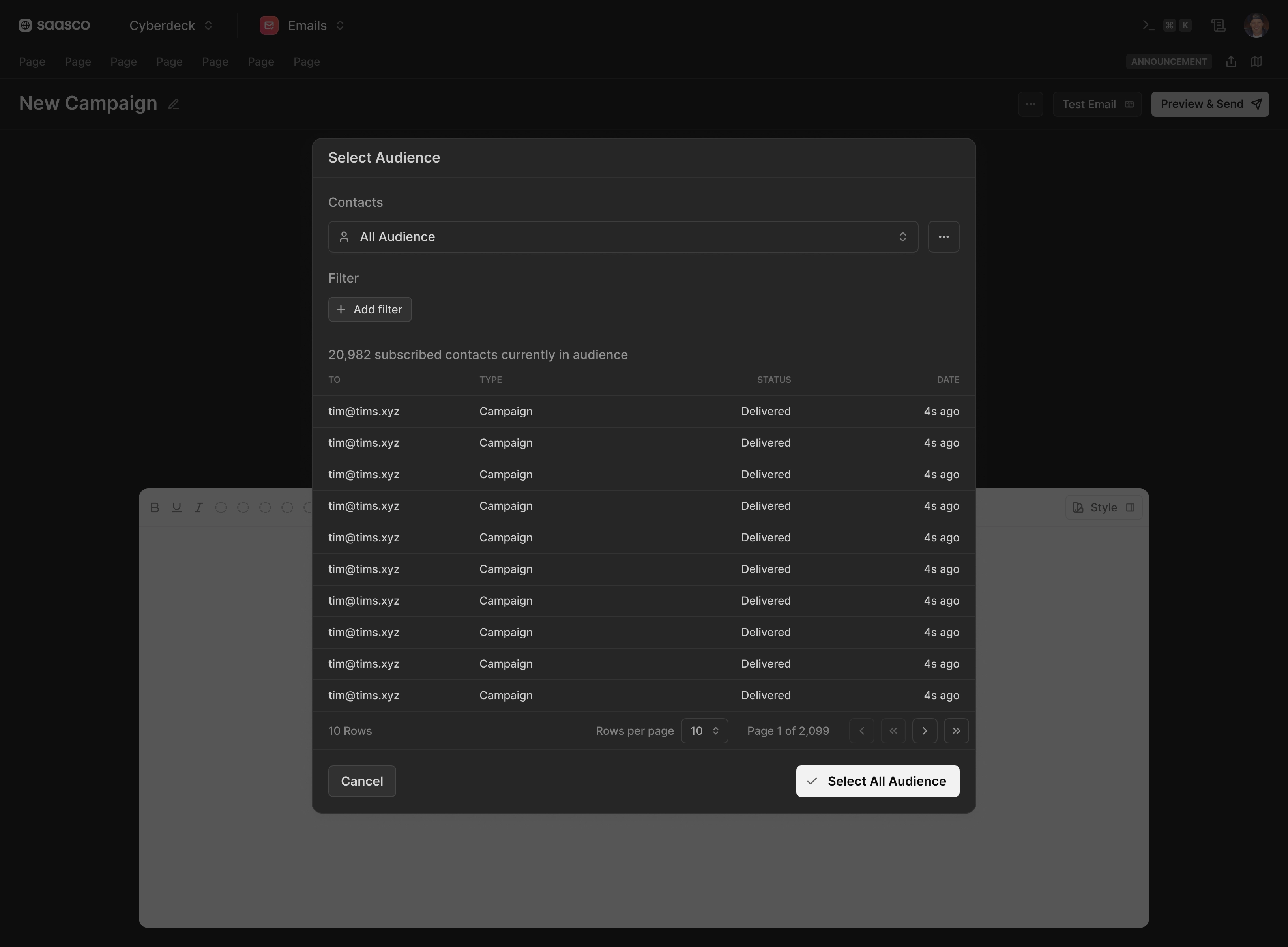 Audience and segment manager